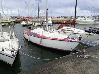 Maxi 77 fin begynder sejlbåd