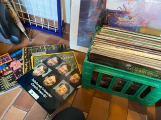 LP plader samling