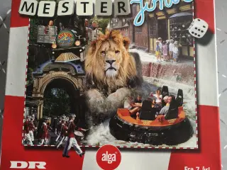 Danmarks mester junior