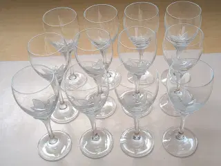 Hvidvinsglas La Fleur 12stk