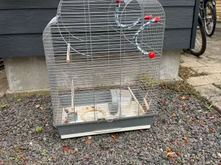 Fuglebur til undulater, parakitter mm.