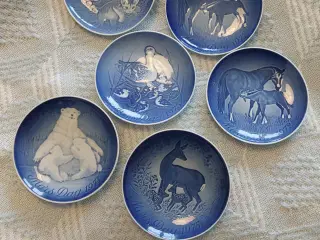 Mors dagsplatter BG.