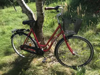Damecykel med Cykellås og Kurv før 165-180cm