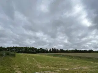 Opstaldning fuldpas Astrup