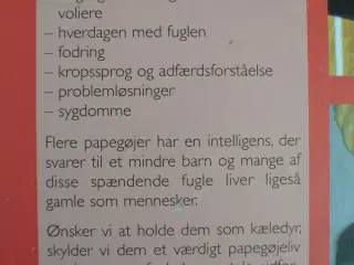 tamme papegøjer - fra undulater til araer. valg, k