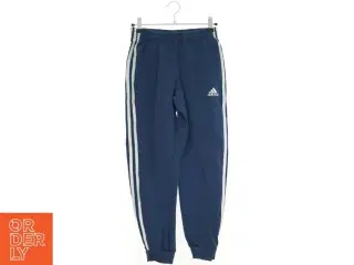 Adidas sweatpants (str. 152 cm)