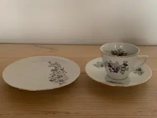 Kaffestel med violer og guld kant - vintage