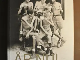 år nul - en fortælling om 1945, af ian buruma, emn