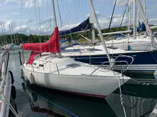 Albin Accent sælges som projekt