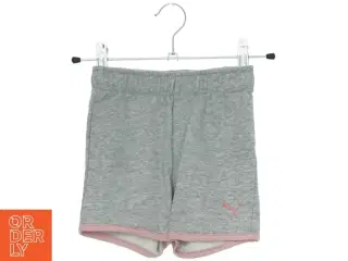 Grå shorts fra Puma (str. 98)