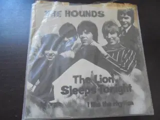 Single: The hounds – The Lions sleeps tonight