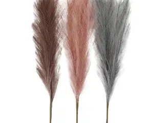 Pampasgræs, L: 50 cm, sart blå, frost lilla, gl. rosa, 3stk./ 1 bdt.
