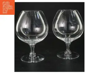 Store glas til rødvin eller whisky (str. 17x10 cm)