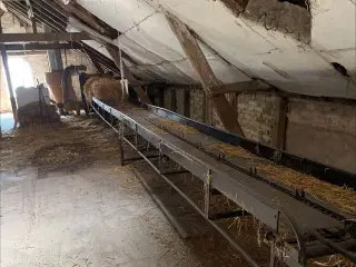 Halmfyr med bane gratis hvis i fjerner det hele 