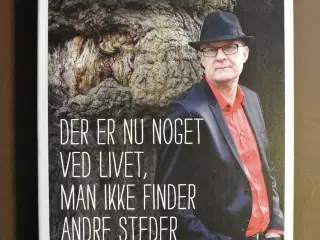 der er nu noget ved livet, man ikke finder andre s