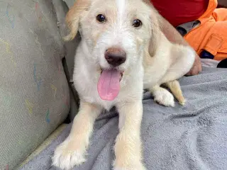 Dejlige DJ søger sin helt egen familie 🥰