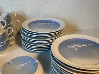 Svanekaffe stel