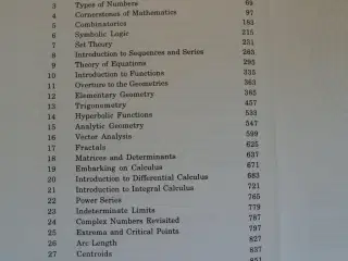 mathematics from the birth of numbers, by jan gull