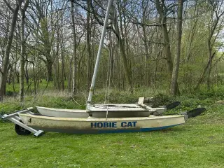 Hobie Cat