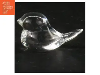 Glasfugl o (str. 5 cm)