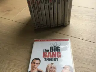 Big Bang Theory komplet serie
