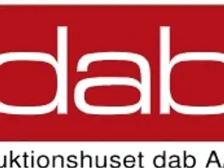 LÆS DENNE BESKRIVELSE INDEN DU BYDER