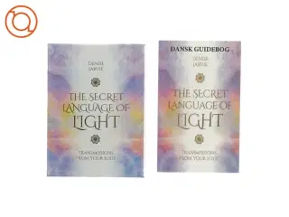 The secret land bridge of light