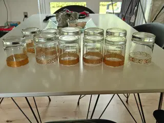 Glas med guldkant 