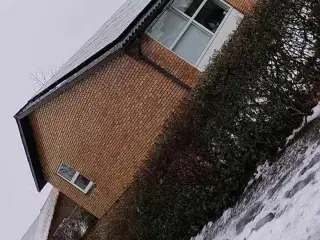 Nyrenoveret 1 plans sælges billigt!