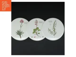 Dekorative porcelænstallerkener med botaniske motiver (str. 3 styk. ø. 15,5 cm)