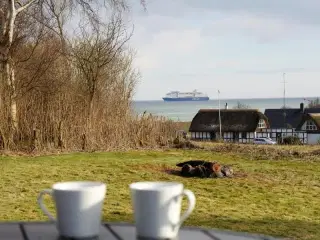 6 personers feriehus med havudsigt