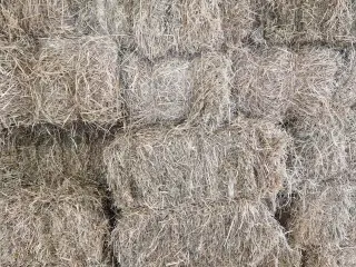 Eng hø småballer