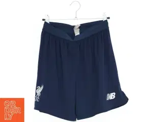 Liverpool FC træningsshorts fra New Balance (str. S)