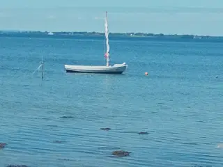 Smakkejole sejl klar