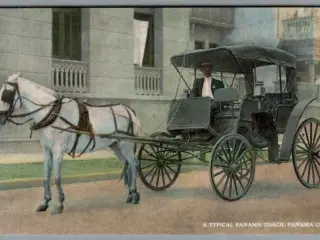 Panama Coach - Panana City - Ubrugt