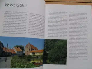 Østfyn i øjesyn ? Fyns Hovedstad