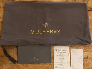 Mulberry lily medium