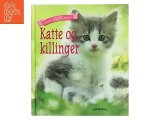 Katte og killinger af Christian Lamberth (Bog)
