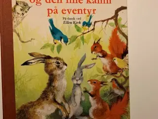 Haren og den lille kanin på eventyr
