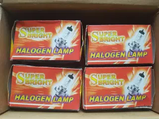 H4 12V 100/90W (incl. fragt)