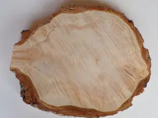 NY Thuja Træskive med bark 33,5 cm lang