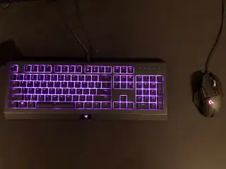 Tastatur og mus