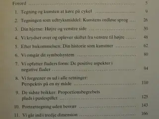 at tegne er at se - indføring i frihåndstegning, a