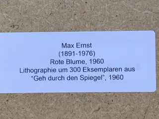 Max Ernst: Rød blomst