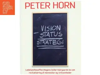 Vision minus status = strategi : ledelsesfilosoffen Mogens Stiller Kj&#228;rgaards lov om revitalisering af mennesker og virksomheder (Bog)