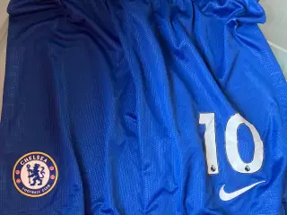 Shorts Chelsea str l