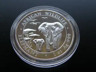 Somali  100 Shillings  2015  Sølv  Kv.Unc.