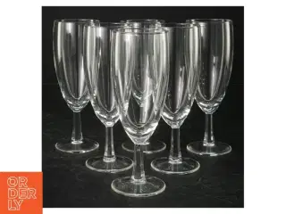 Champagneglas (str. 6 styk. 15 cm)