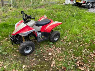 Atv børne størrelse 