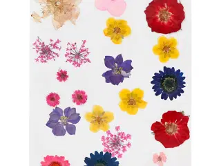 Tørrede blomster og blade, ass. farver, 1 pk.